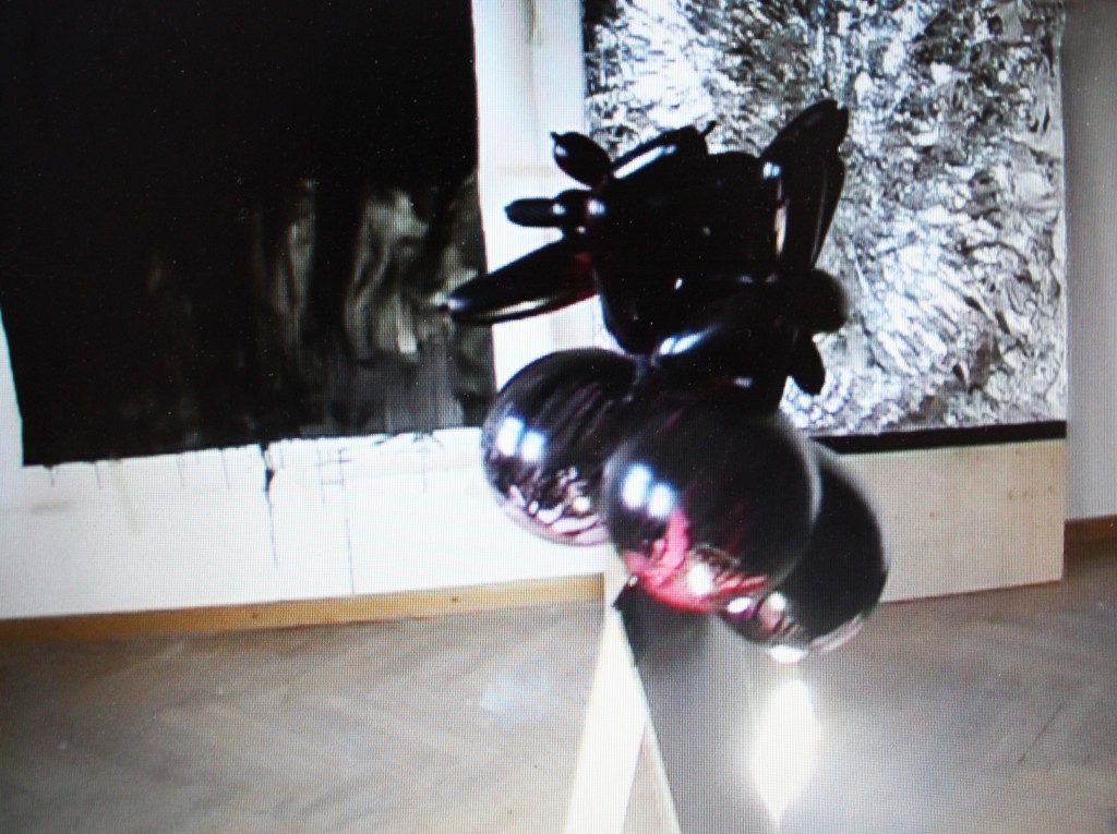 bild-388_bearbeitet_wp