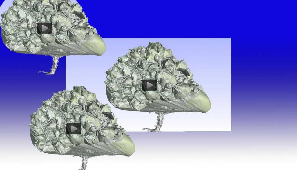 Bildschirmfoto 1_2013-09-19 um 21.17.52